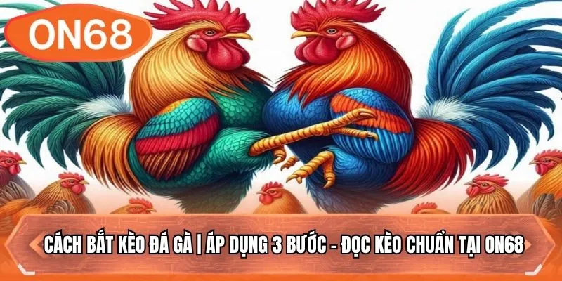 Cách Bắt Kèo Đá Gà | Áp Dụng 3 Bước - Đọc Kèo Chuẩn Tại ON68