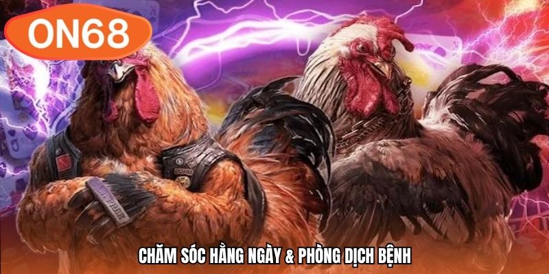 Chăm sóc hằng ngày & Phòng dịch bệnh