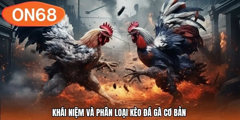 Khái niệm và phân loại kèo đá gà cơ bản
